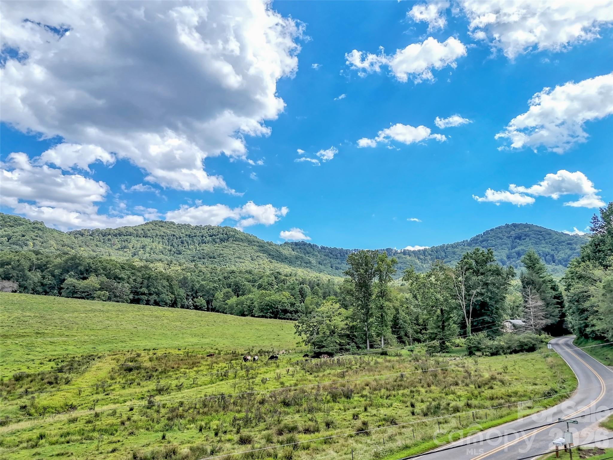 250 Reeves Cove Road Candler NC 28715