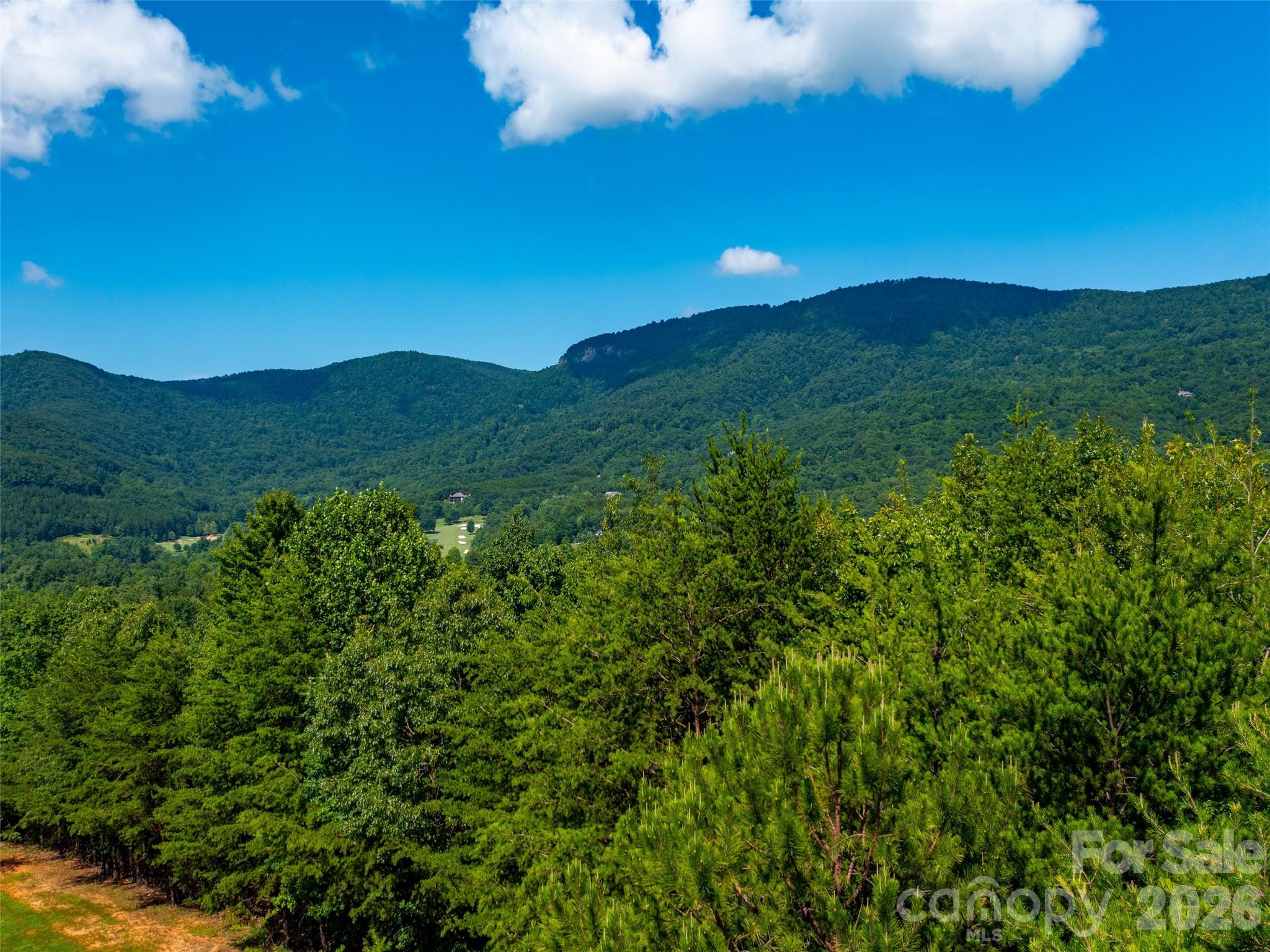 40 Deep Gap Farm Road E Mill Spring NC 28756
