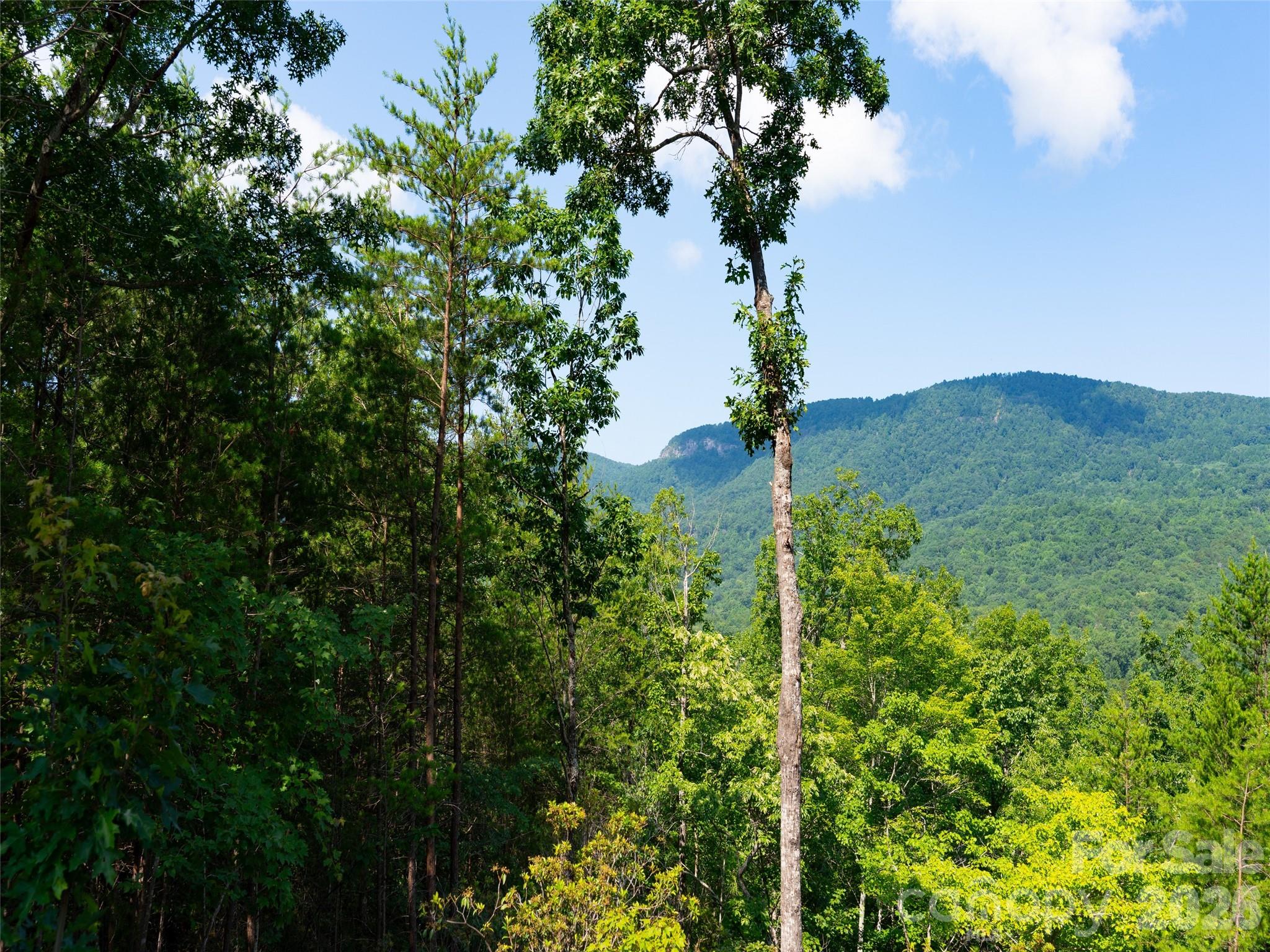 40 Deep Gap Farm Road E Mill Spring NC 28756