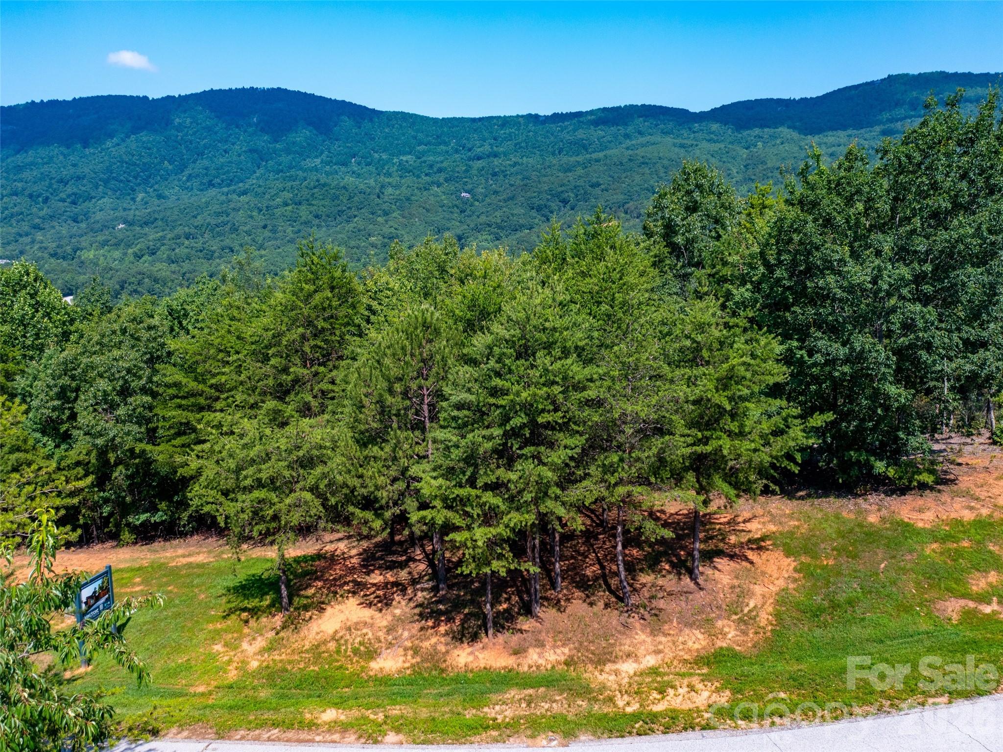 40 Deep Gap Farm Road E Mill Spring NC 28756