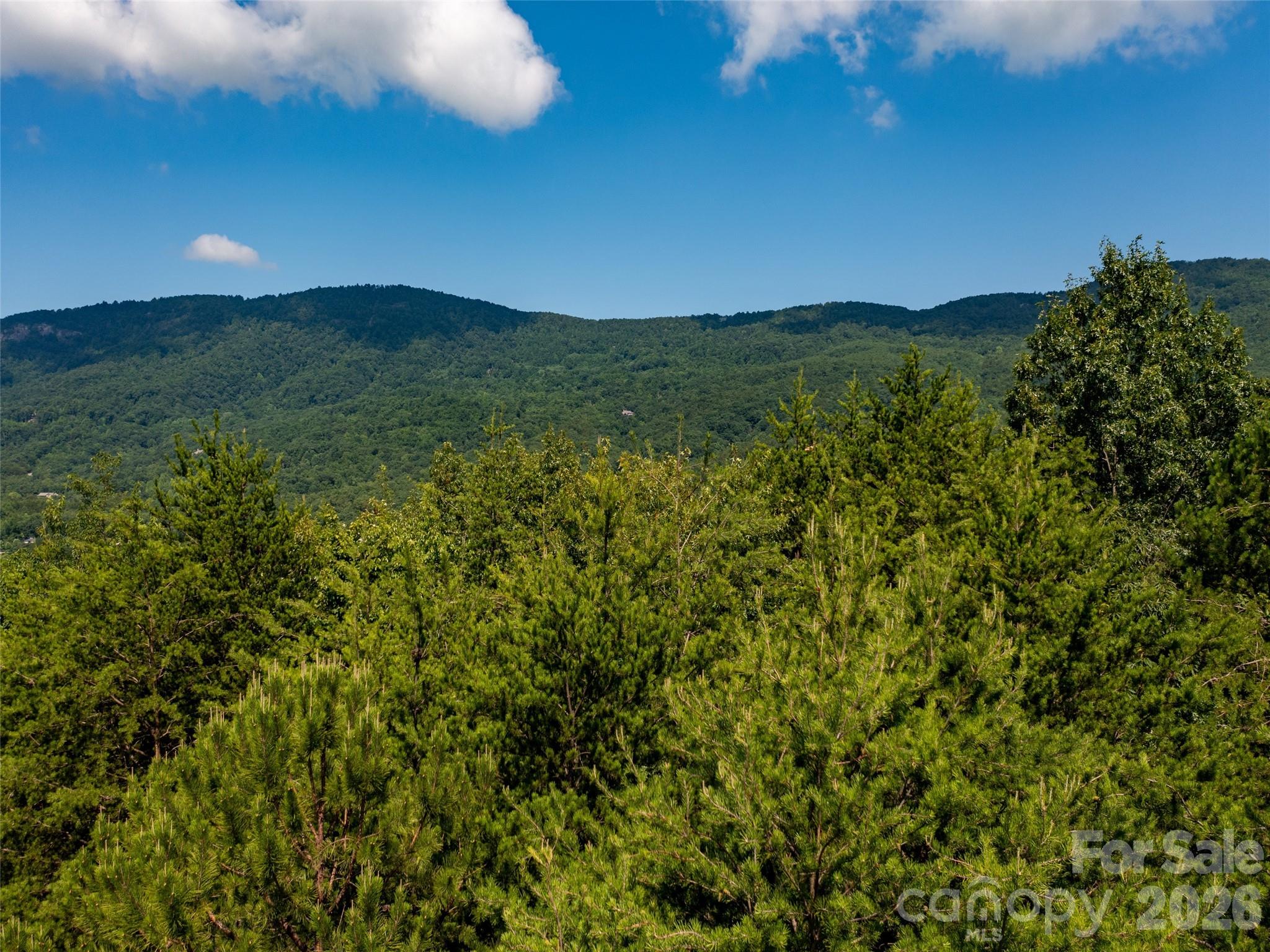 40 Deep Gap Farm Road E Mill Spring NC 28756
