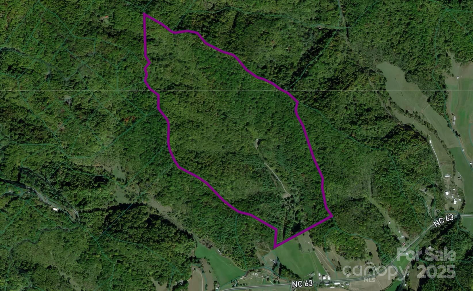 8749 Nc 63 Highway Leicester NC 28748