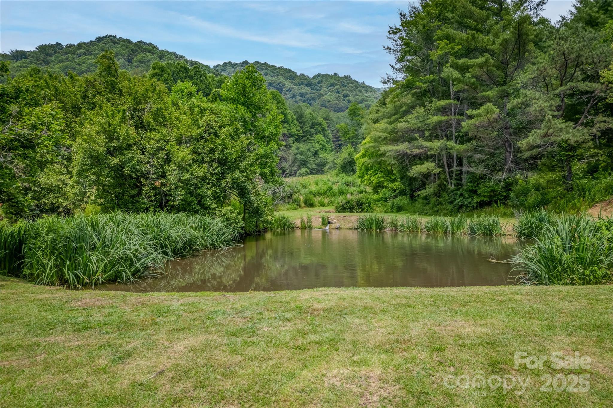 8749 Nc 63 Highway Leicester NC 28748