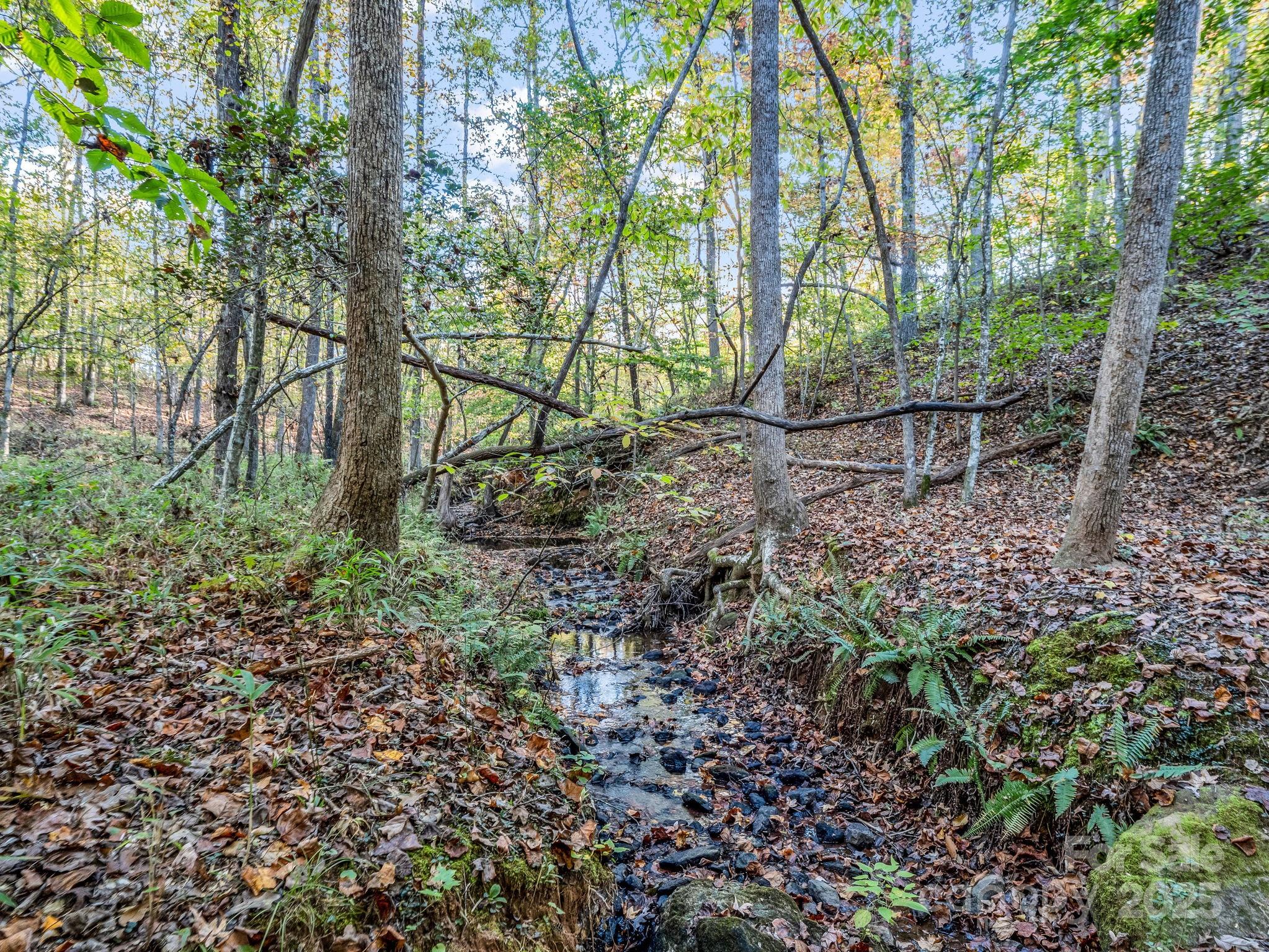 663 Landrum Road Columbus NC 28722