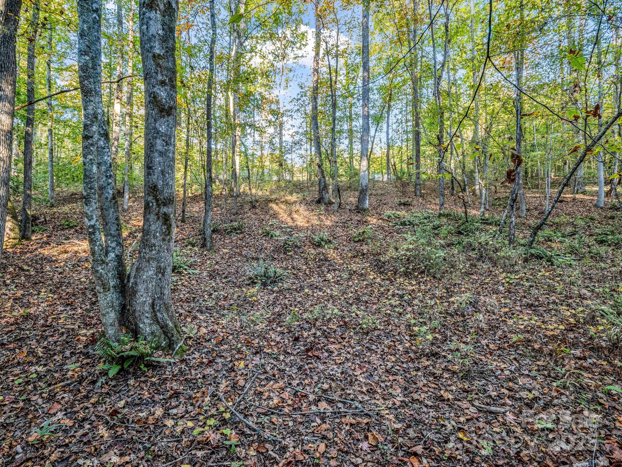 663 Landrum Road Columbus NC 28722