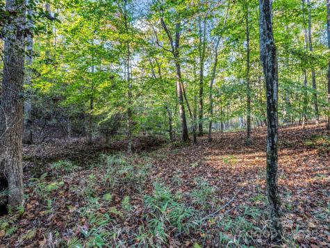 663 Landrum Road Columbus NC 28722