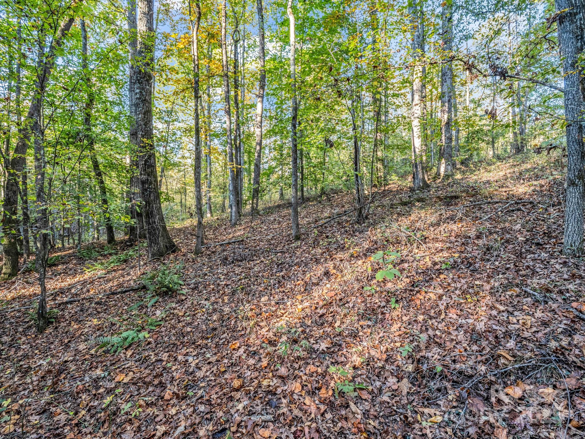 663 Landrum Road Columbus NC 28722
