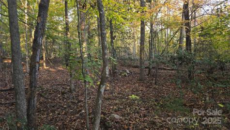 663 Landrum Road Columbus NC 28722