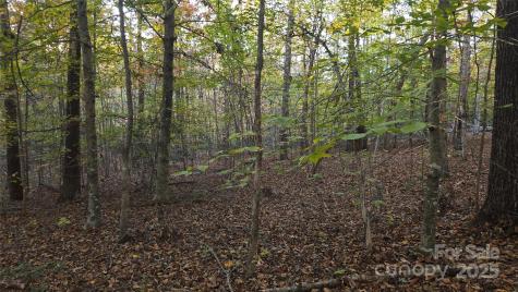 663 Landrum Road Columbus NC 28722