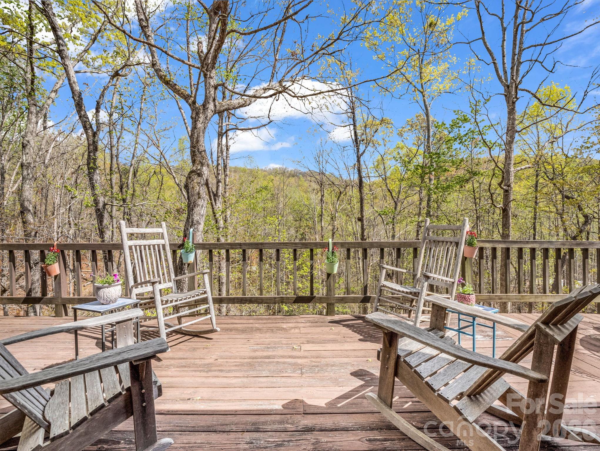 780 Rixhaven Drive Saluda NC 28773