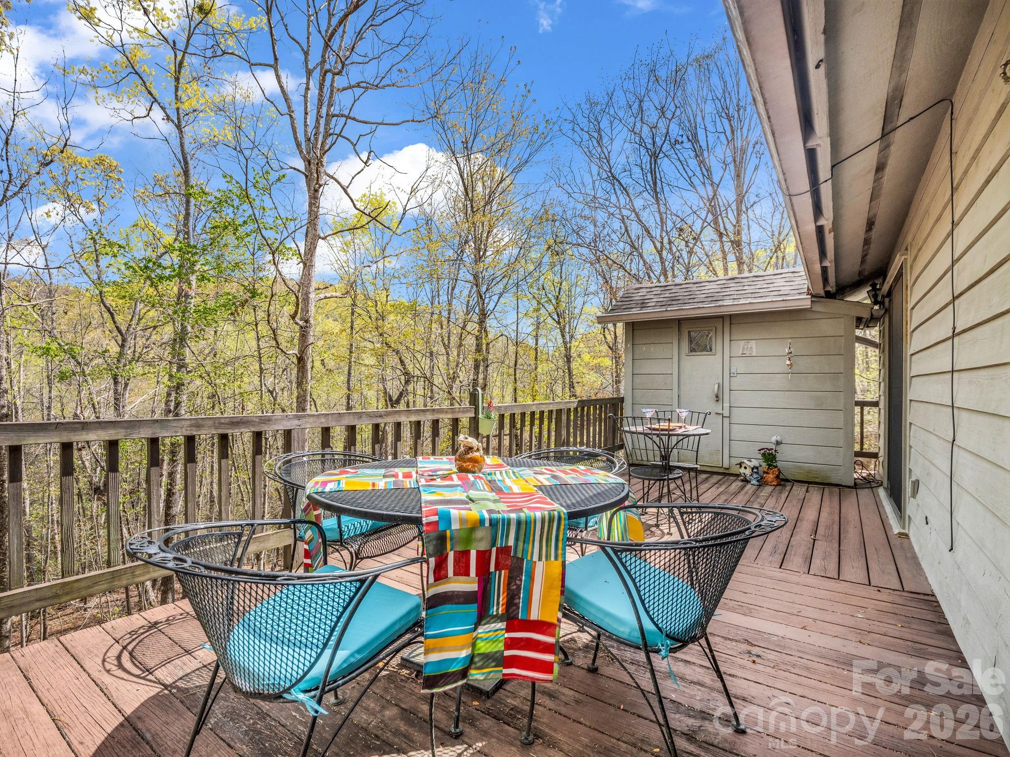 780 Rixhaven Drive Saluda NC 28773