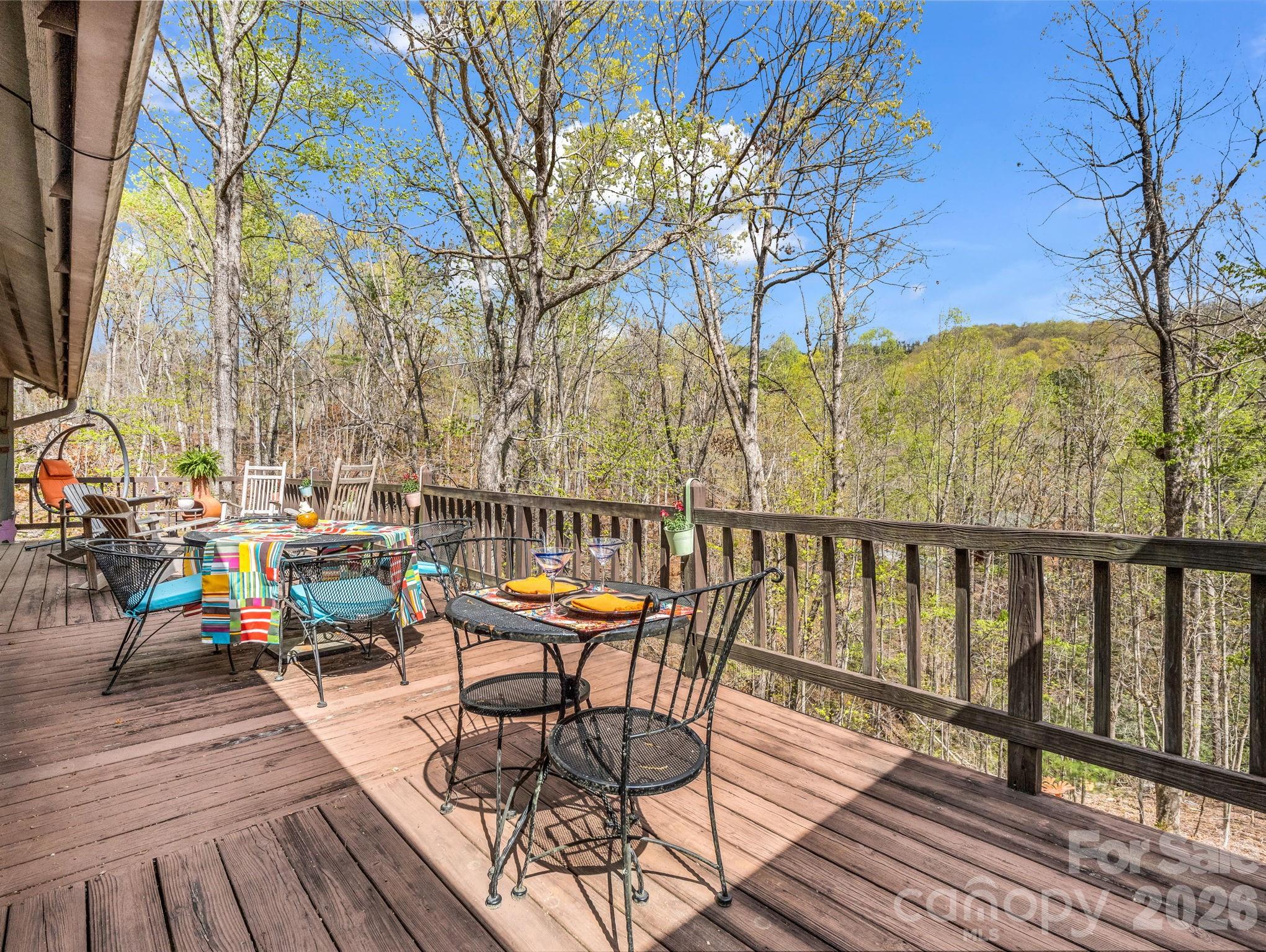 780 Rixhaven Drive Saluda NC 28773