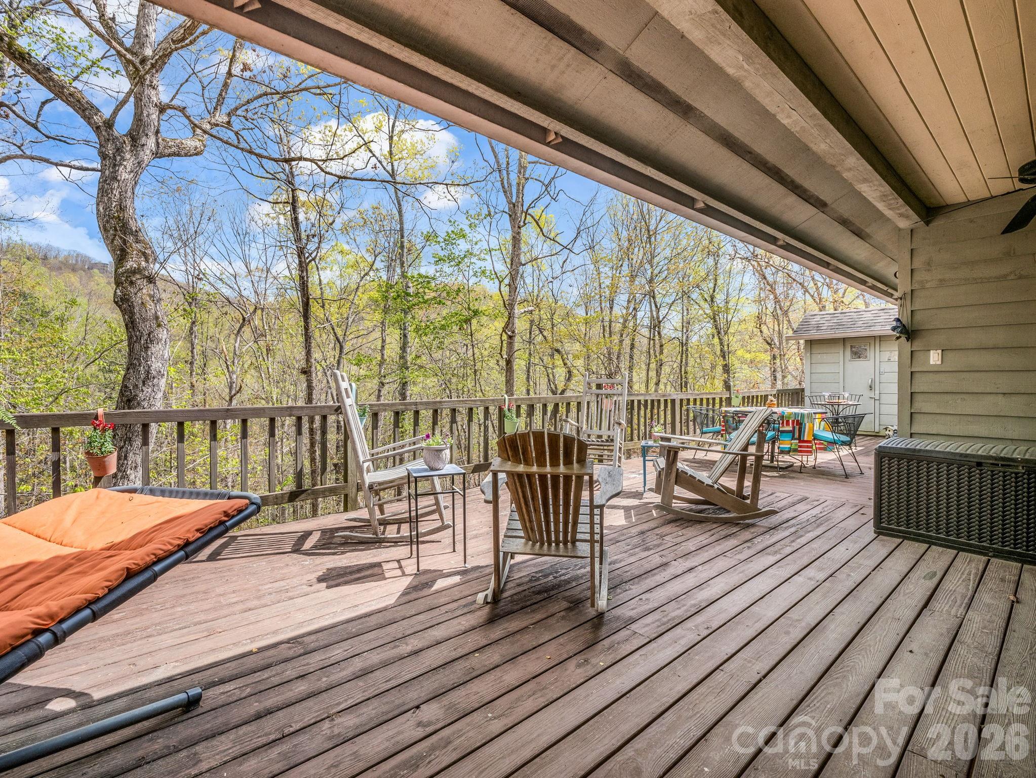 780 Rixhaven Drive Saluda NC 28773