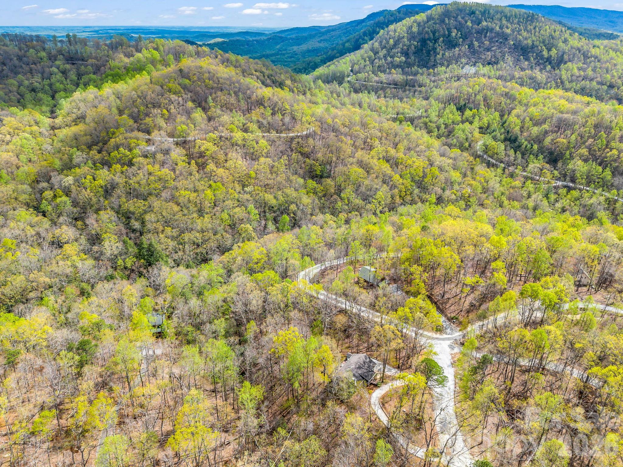 780 Rixhaven Drive Saluda NC 28773