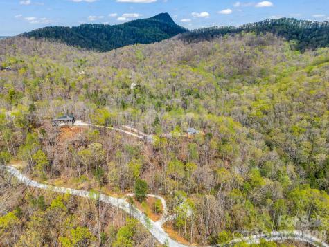 780 Rixhaven Drive Saluda NC 28773