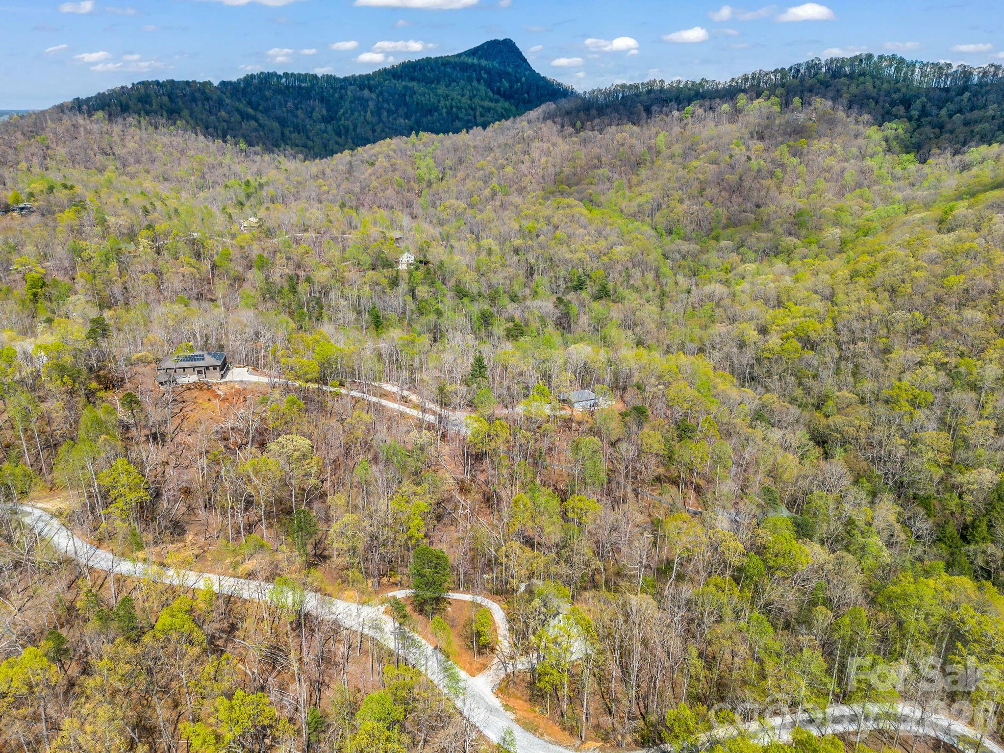 780 Rixhaven Drive Saluda NC 28773