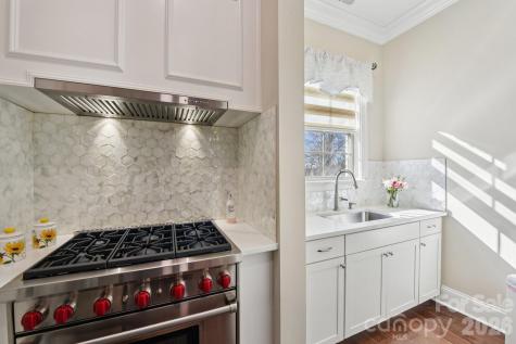 920 Terramore Drive Waxhaw NC 28173