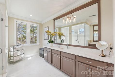 920 Terramore Drive Waxhaw NC 28173