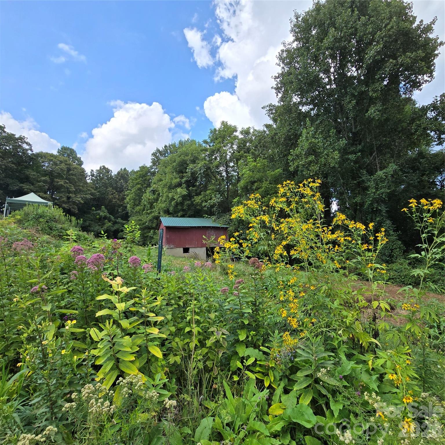 437 Onteora Boulevard Asheville NC 28803