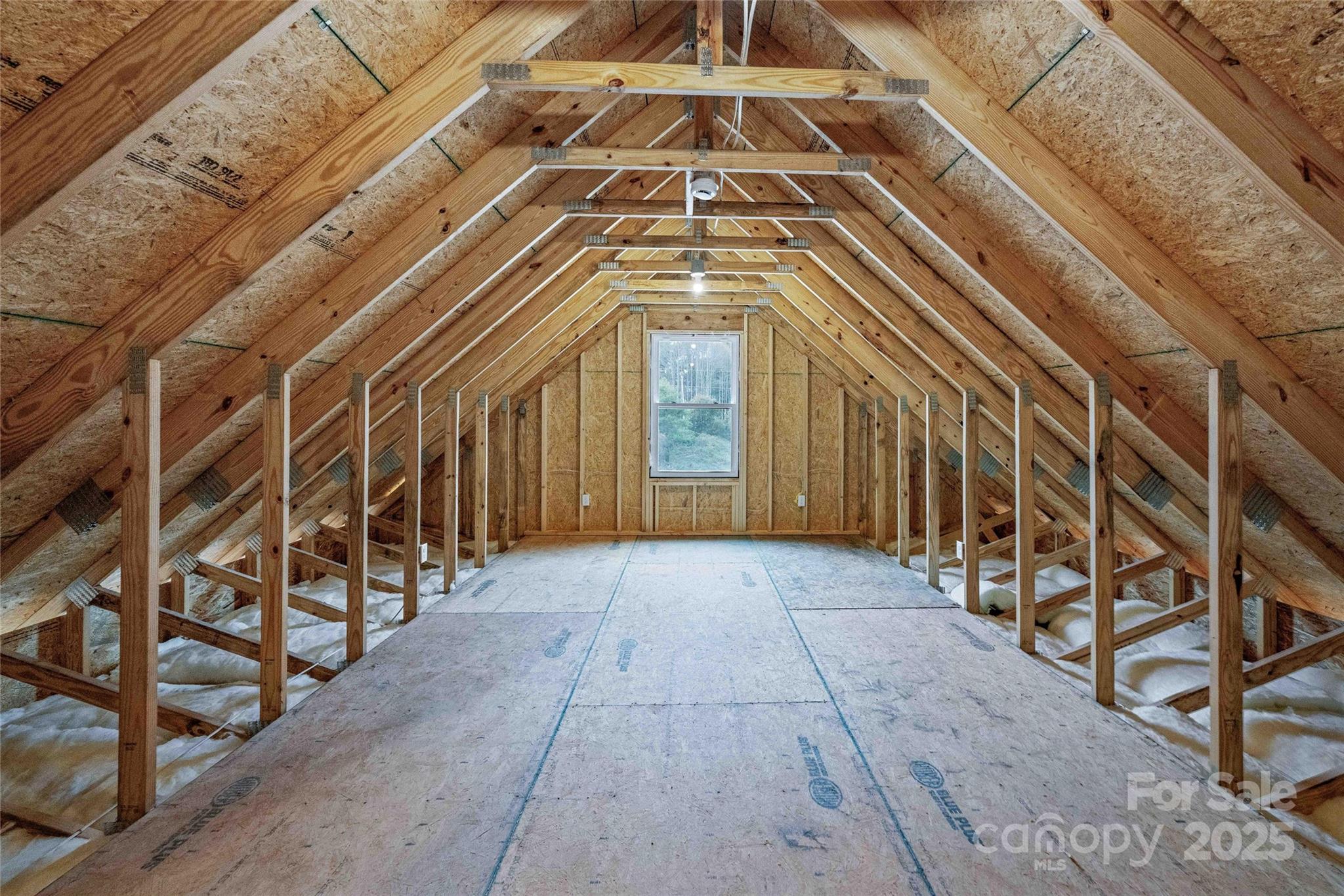 14 Holcombe Road Candler NC 28715