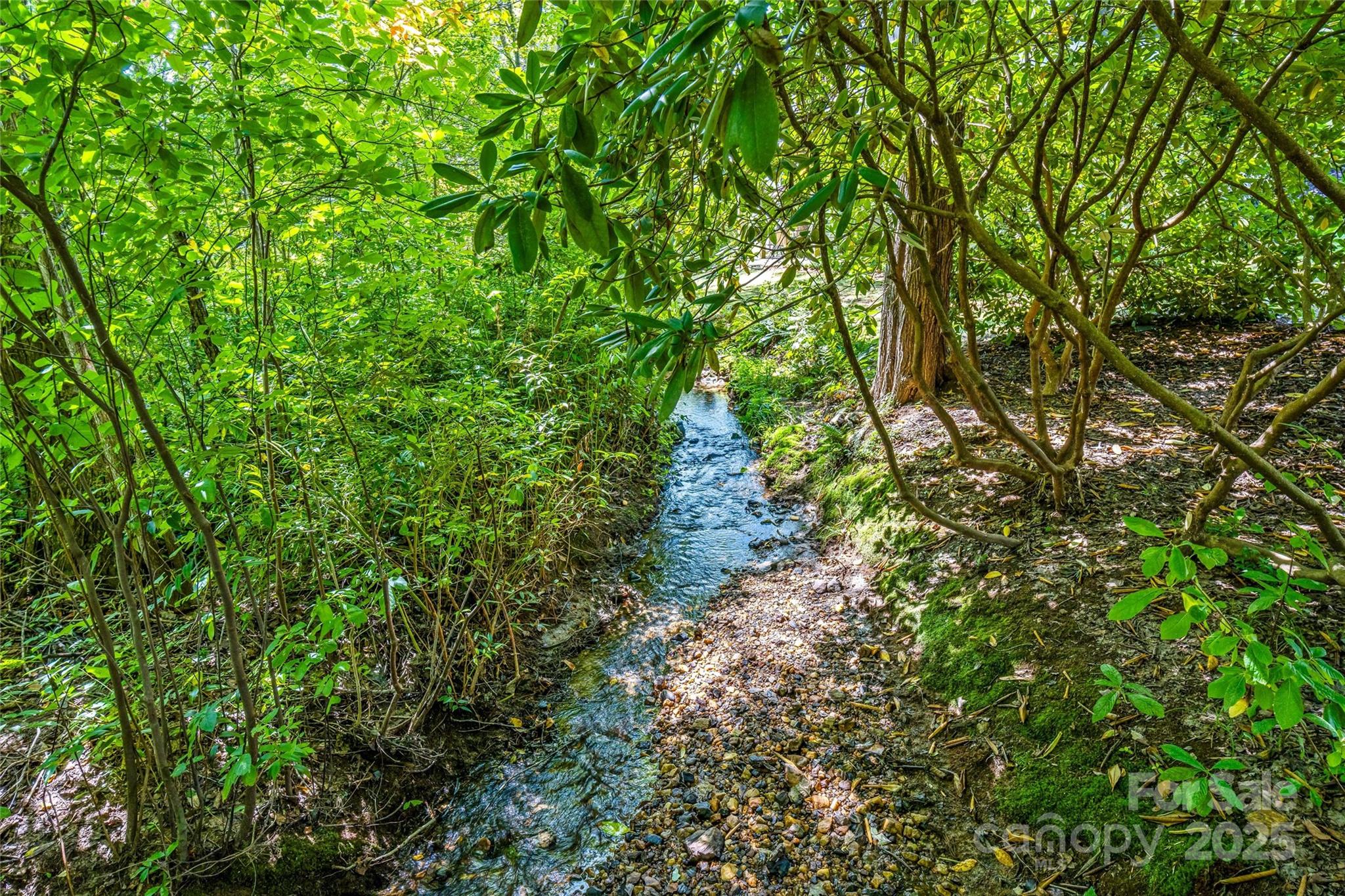 28 Clovelly Way Asheville NC 28803