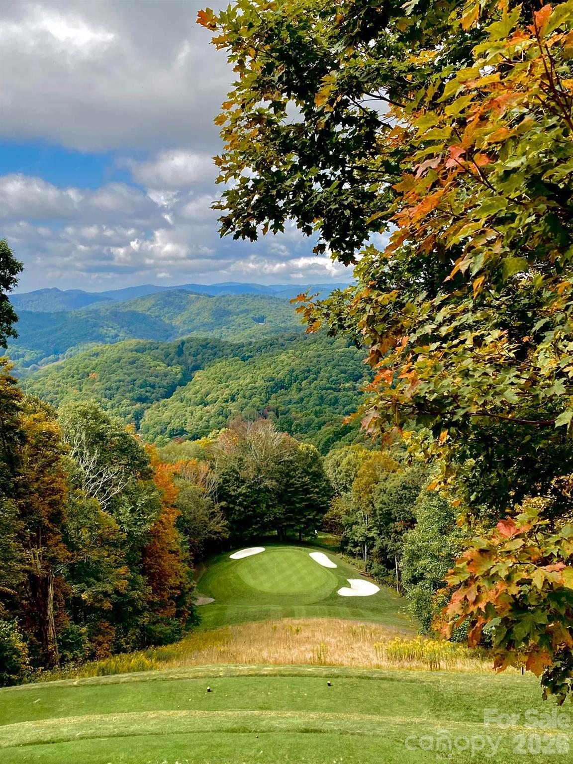 302 Eagles Nest Court S Mars Hill NC 28754