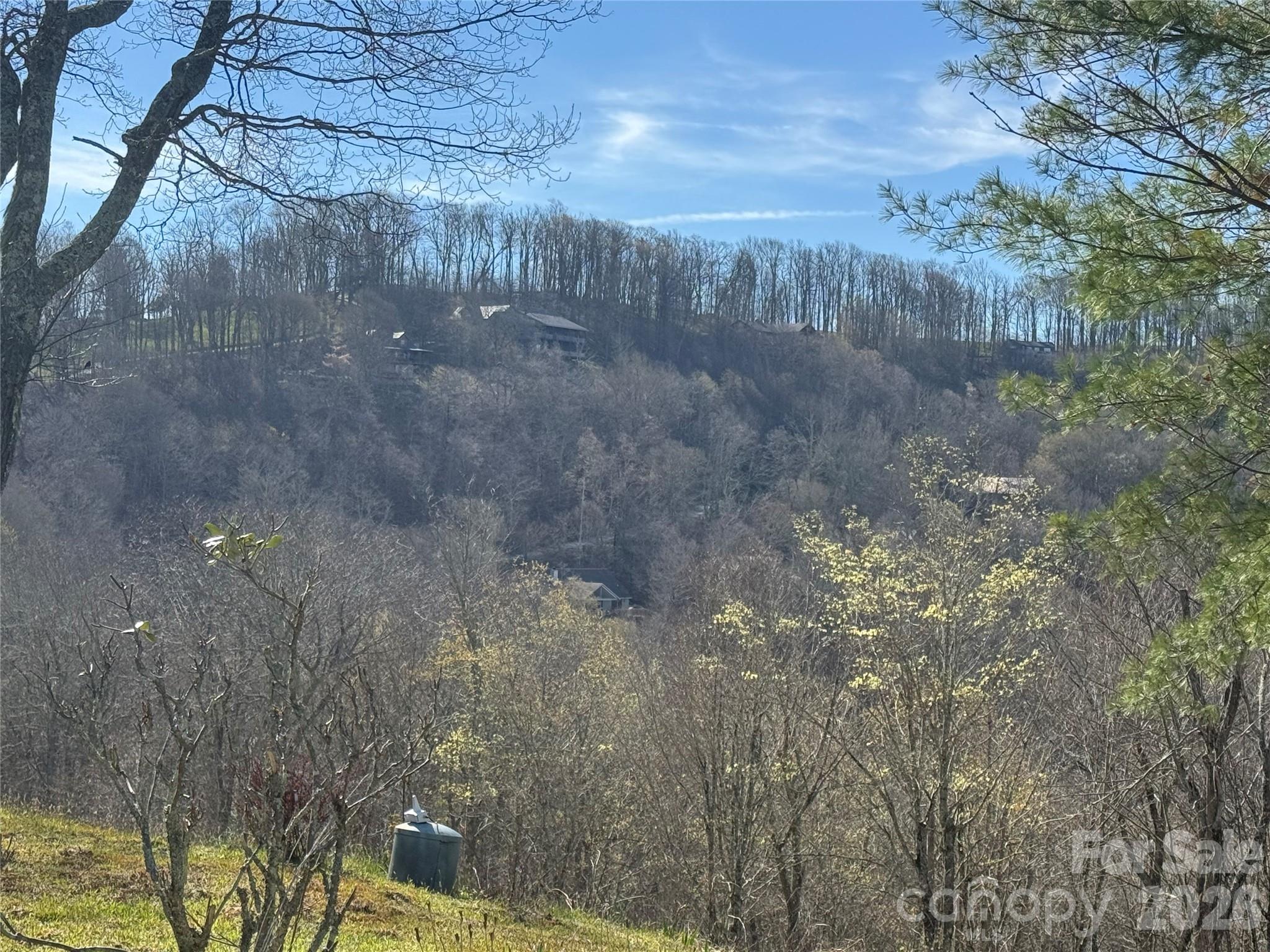 302 Eagles Nest Court S Mars Hill NC 28754