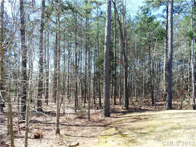 2324 Savannah Hills Drive Matthews NC 28105