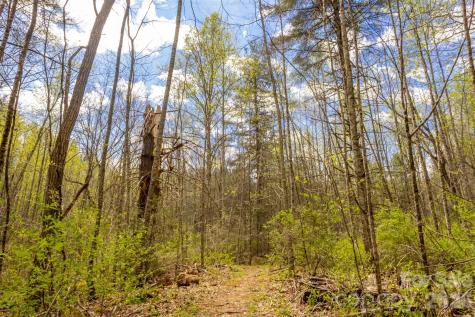 82 Meadow Ridge Court Tuckasegee NC 28783