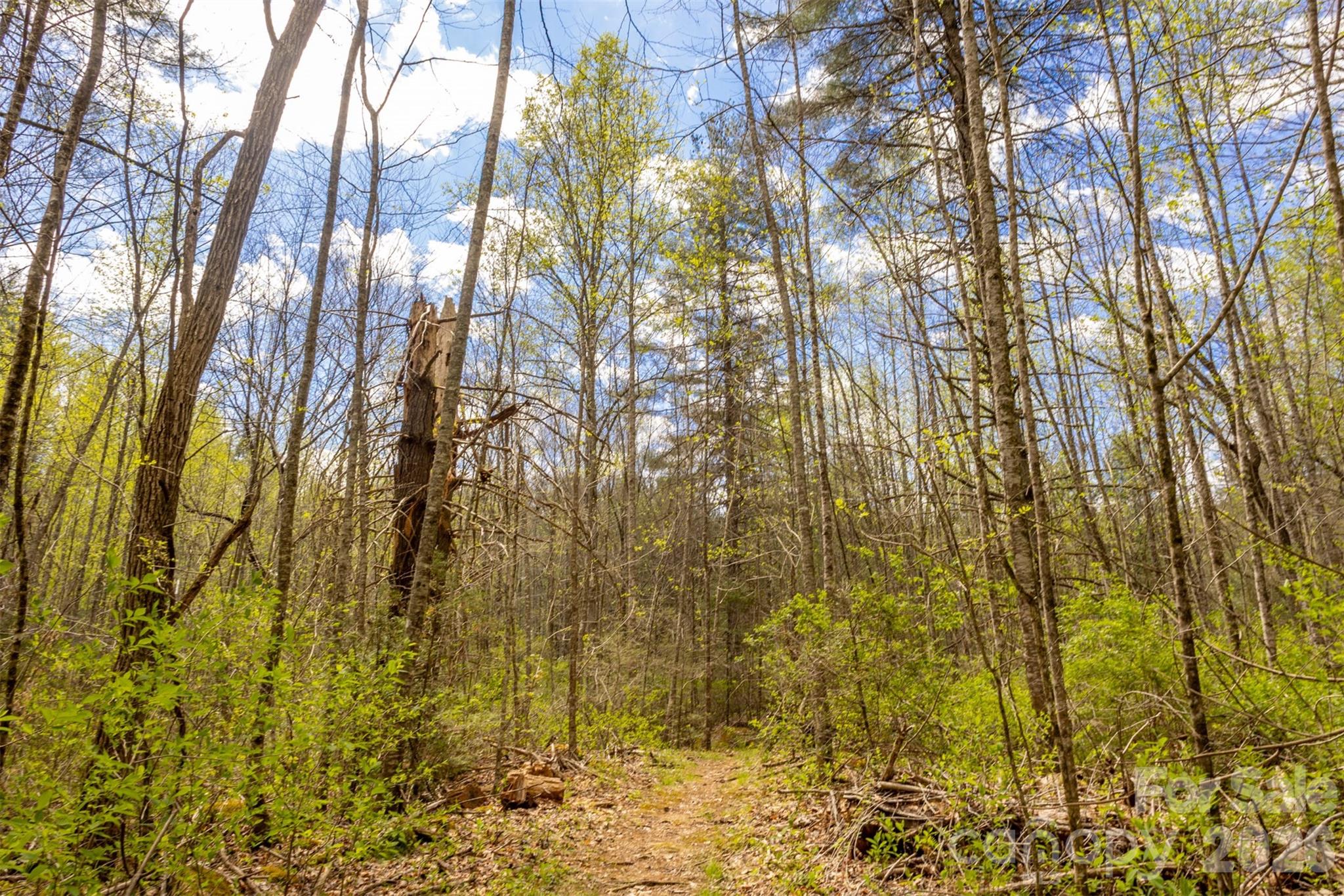 82 Meadow Ridge Court Tuckasegee NC 28783