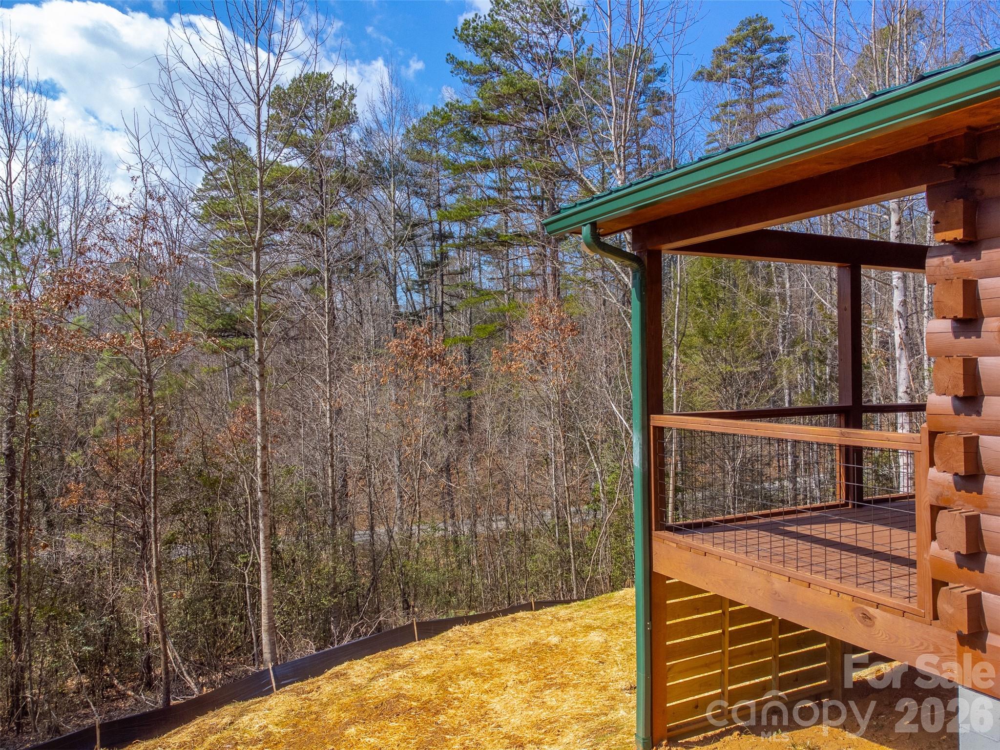 677 Ridgetop Circle Whittier NC 28789