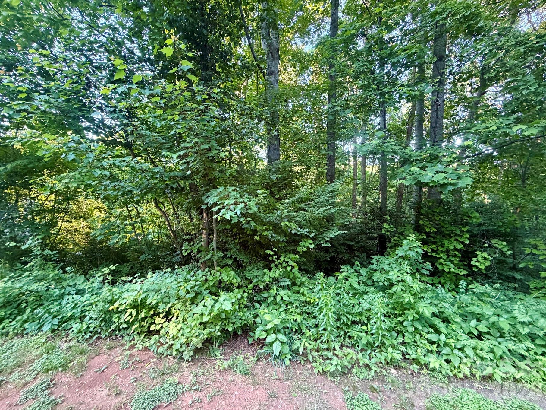 1227 Shirebourn Hickory NC 28602
