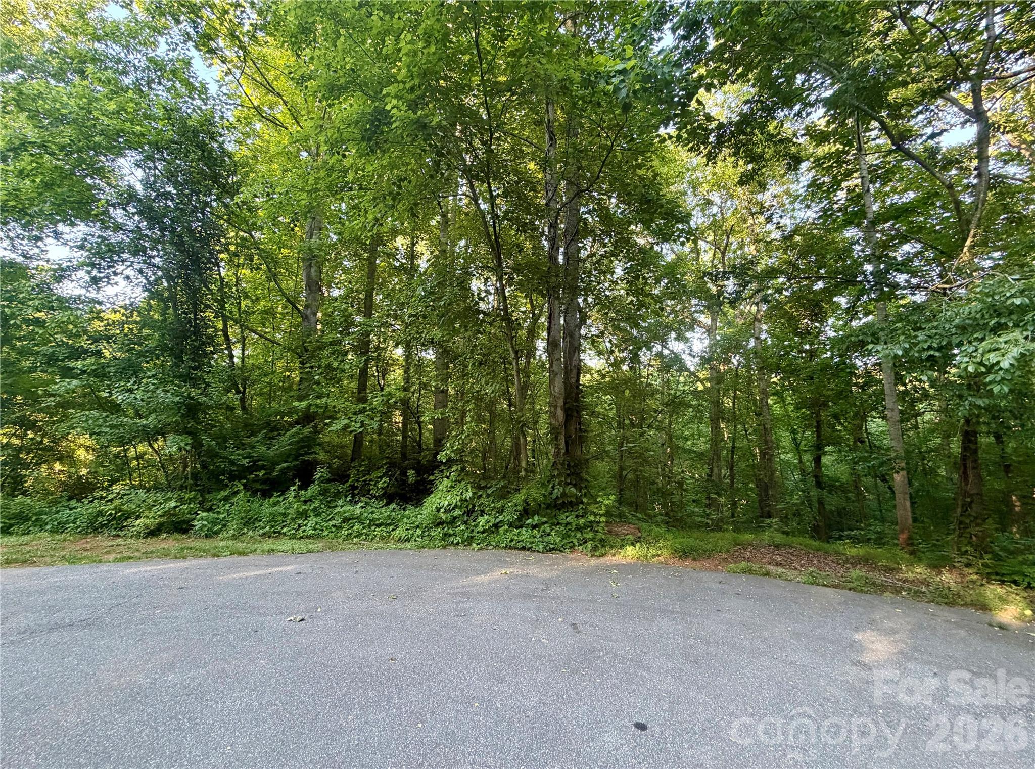 1227 Shirebourn Hickory NC 28602