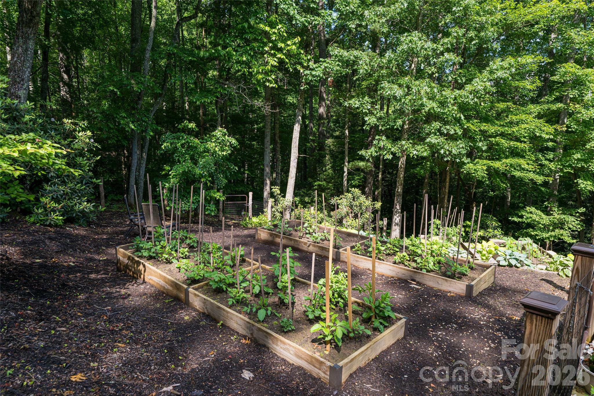 55 Highland Drive Black Mountain NC 28711