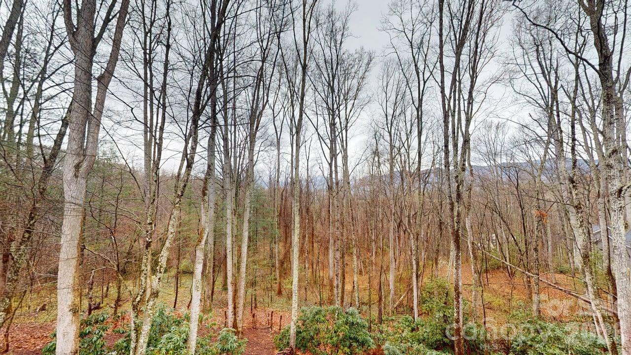 55 Highland Drive Black Mountain NC 28711