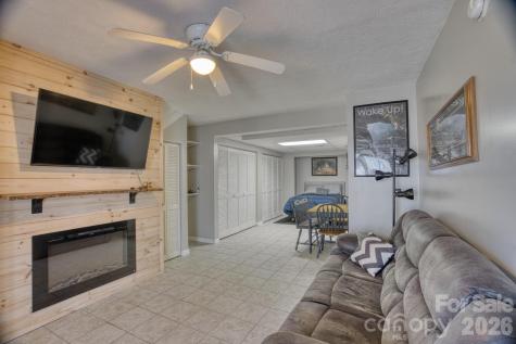 46 Wahuhu Court Brevard NC 28712