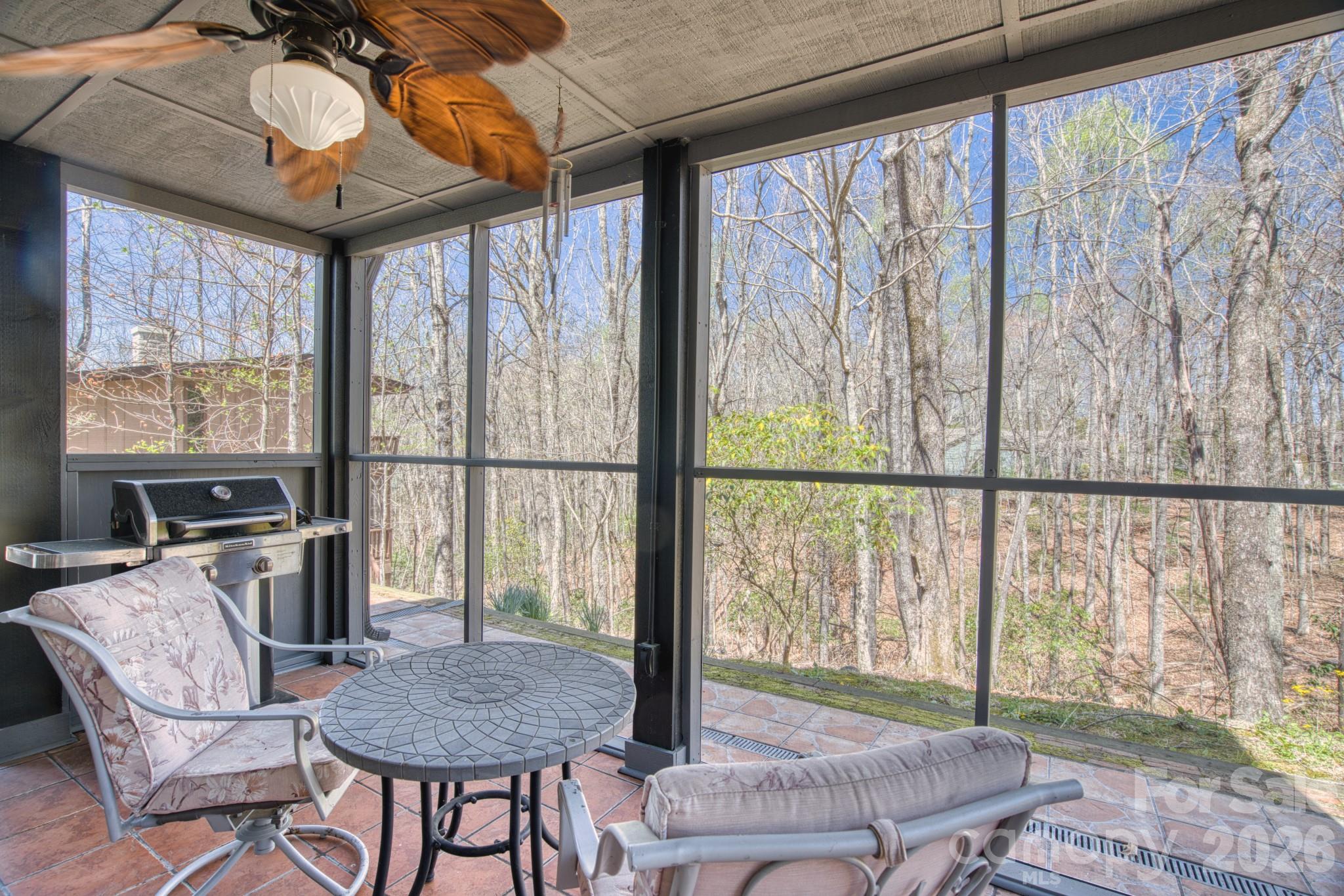 46 Wahuhu Court Brevard NC 28712