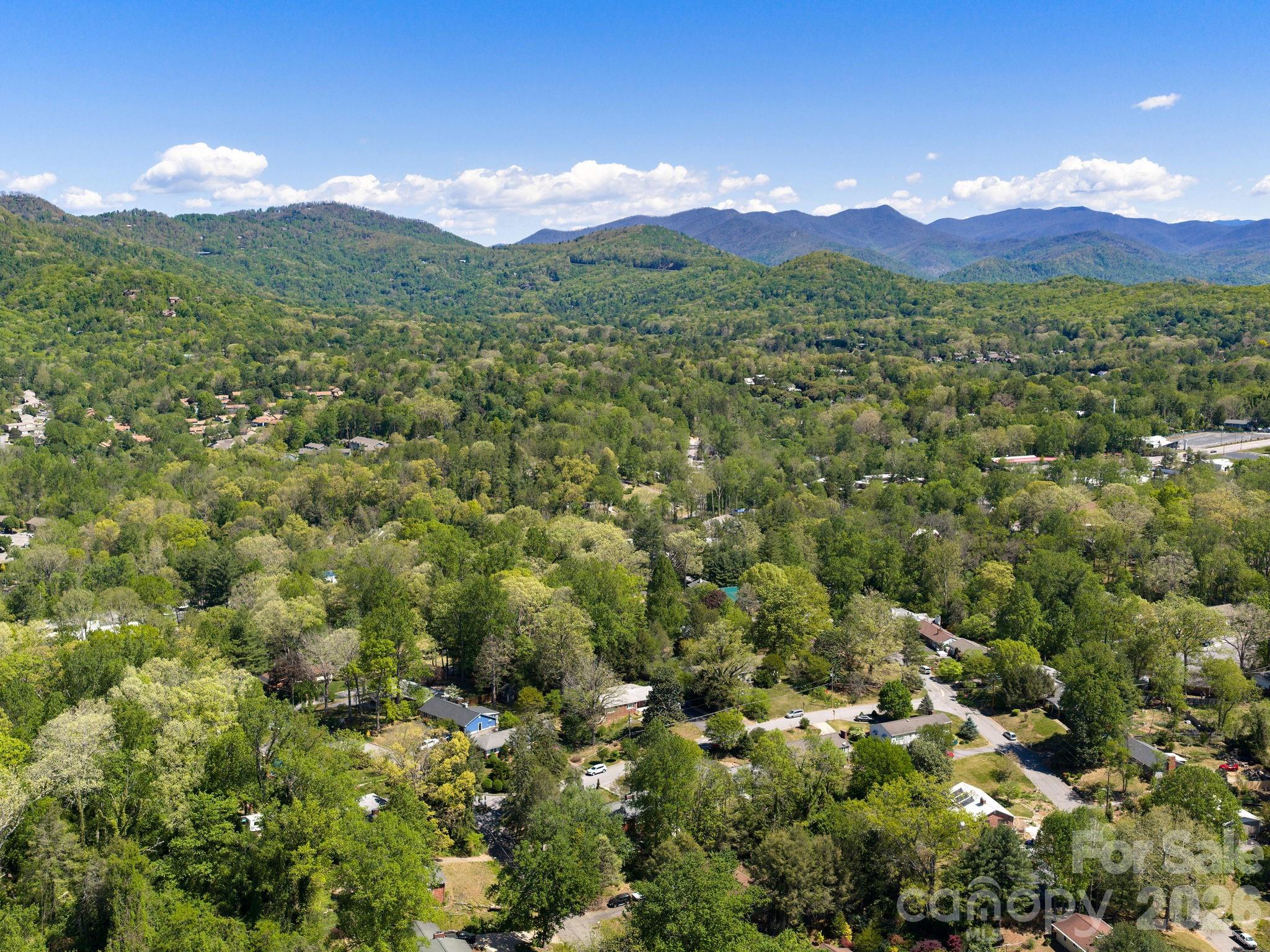 8 Fernlawn Road Asheville NC 28805