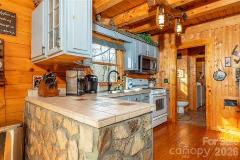 145 Flynn Court Lake Lure NC 28746