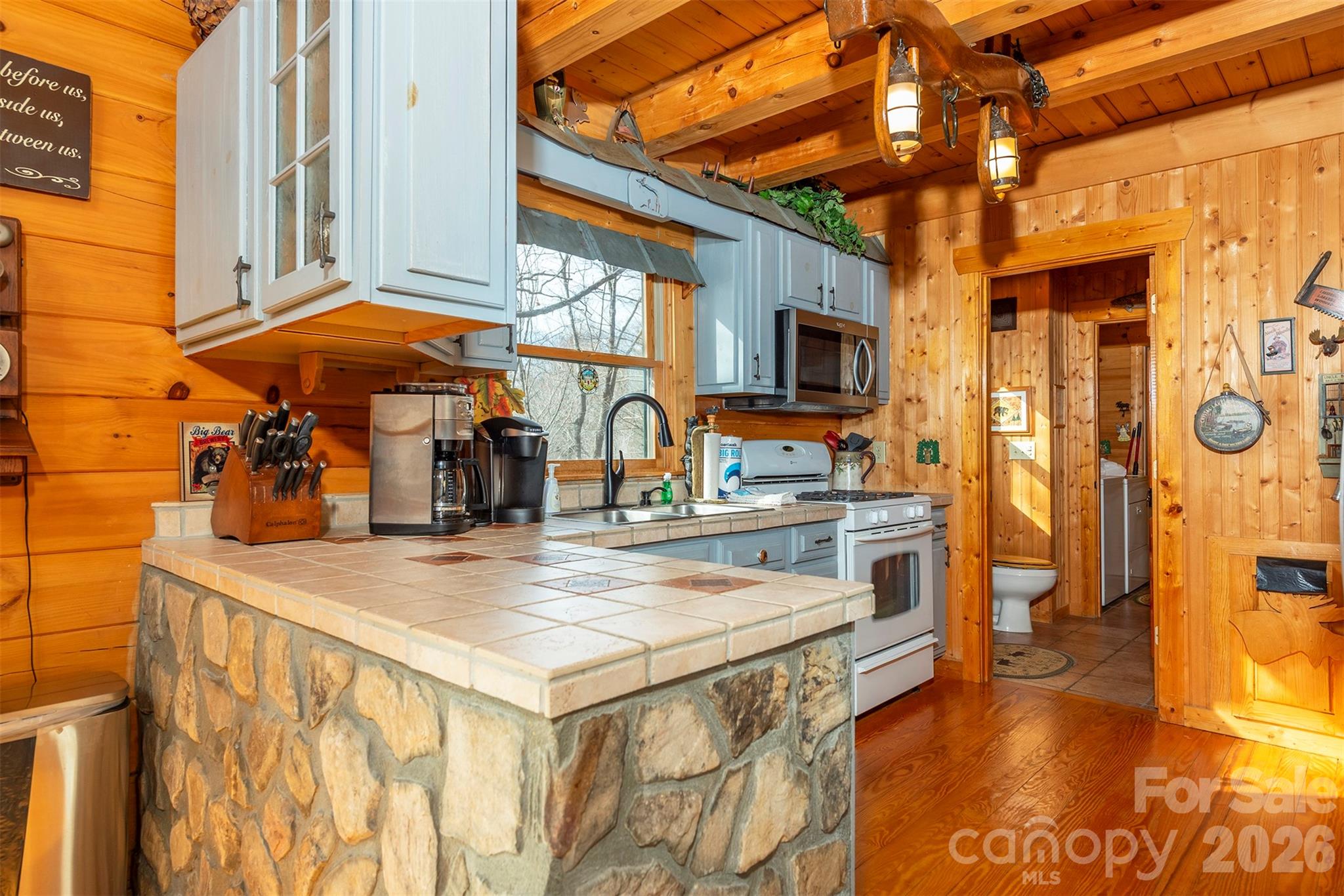 145 Flynn Court Lake Lure NC 28746