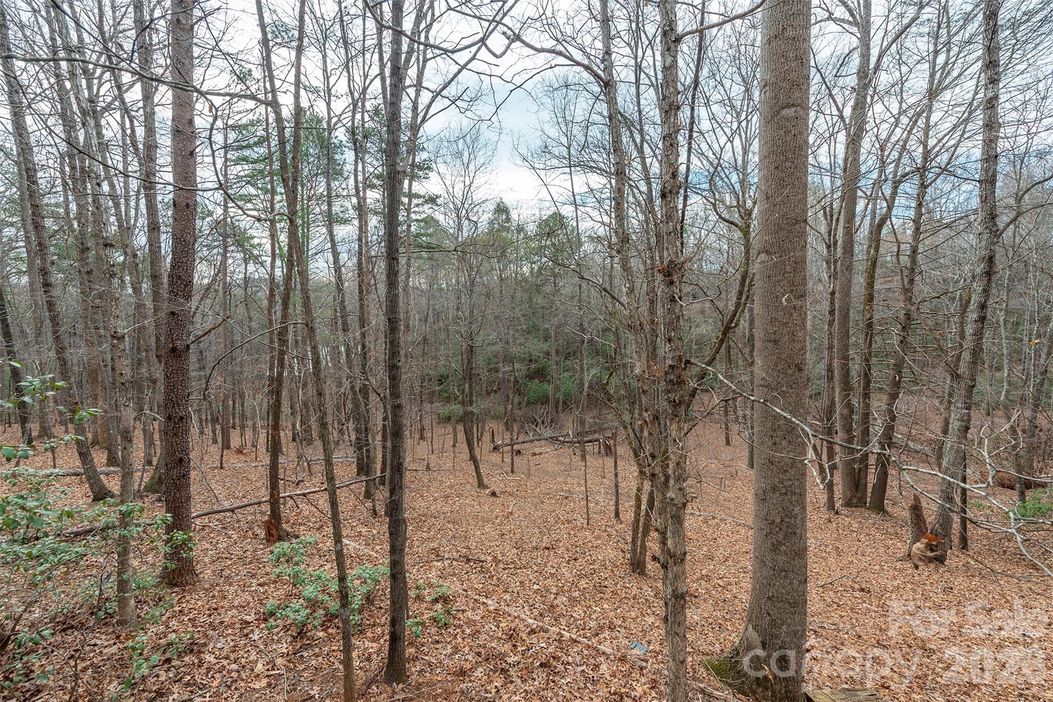 145 Flynn Court Lake Lure NC 28746