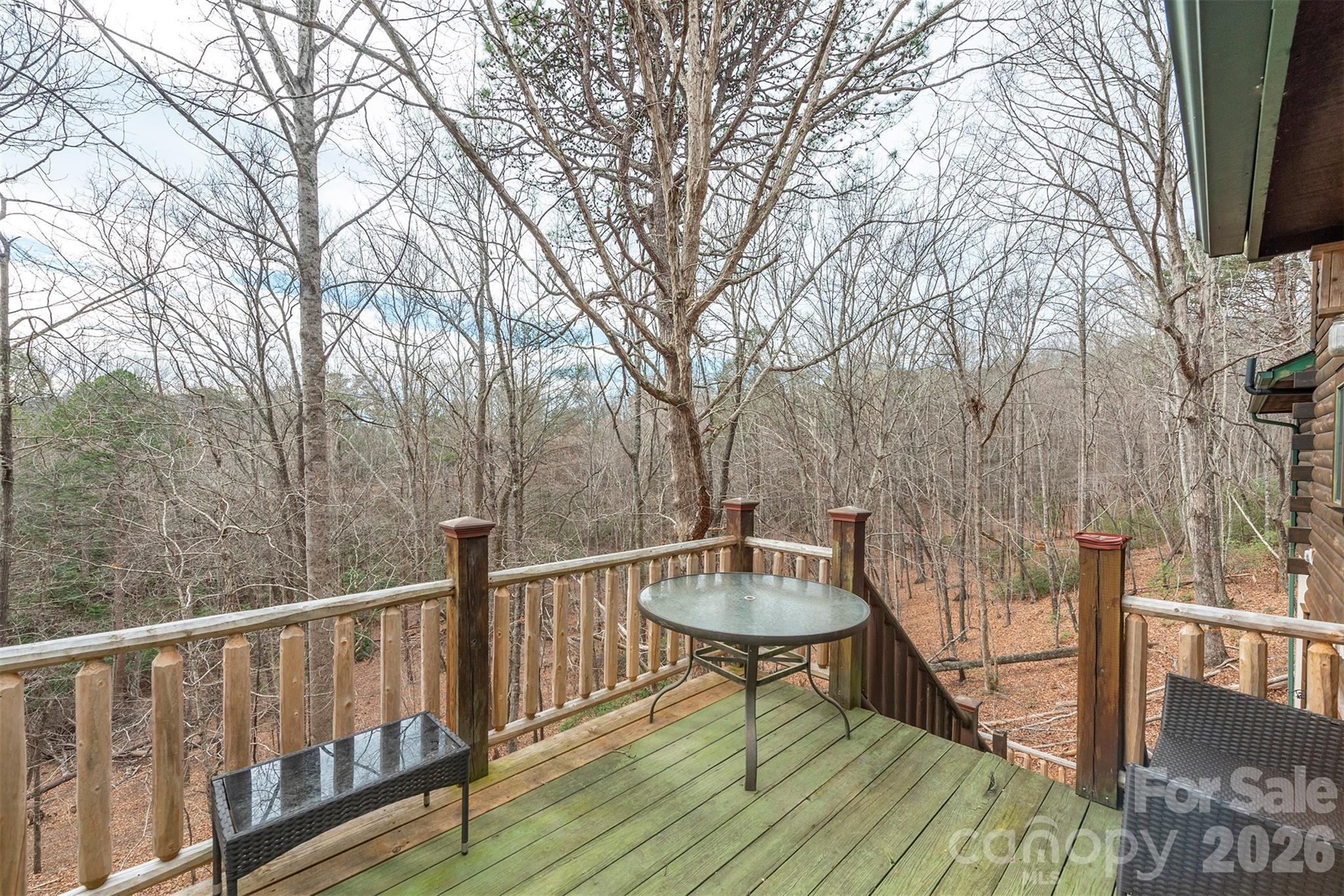 145 Flynn Court Lake Lure NC 28746