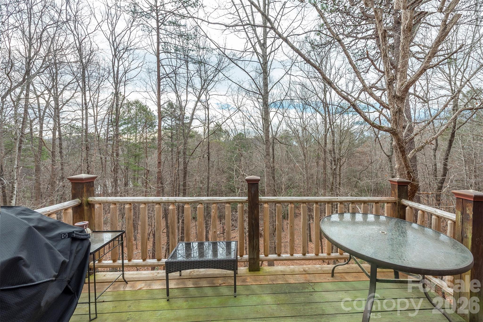 145 Flynn Court Lake Lure NC 28746