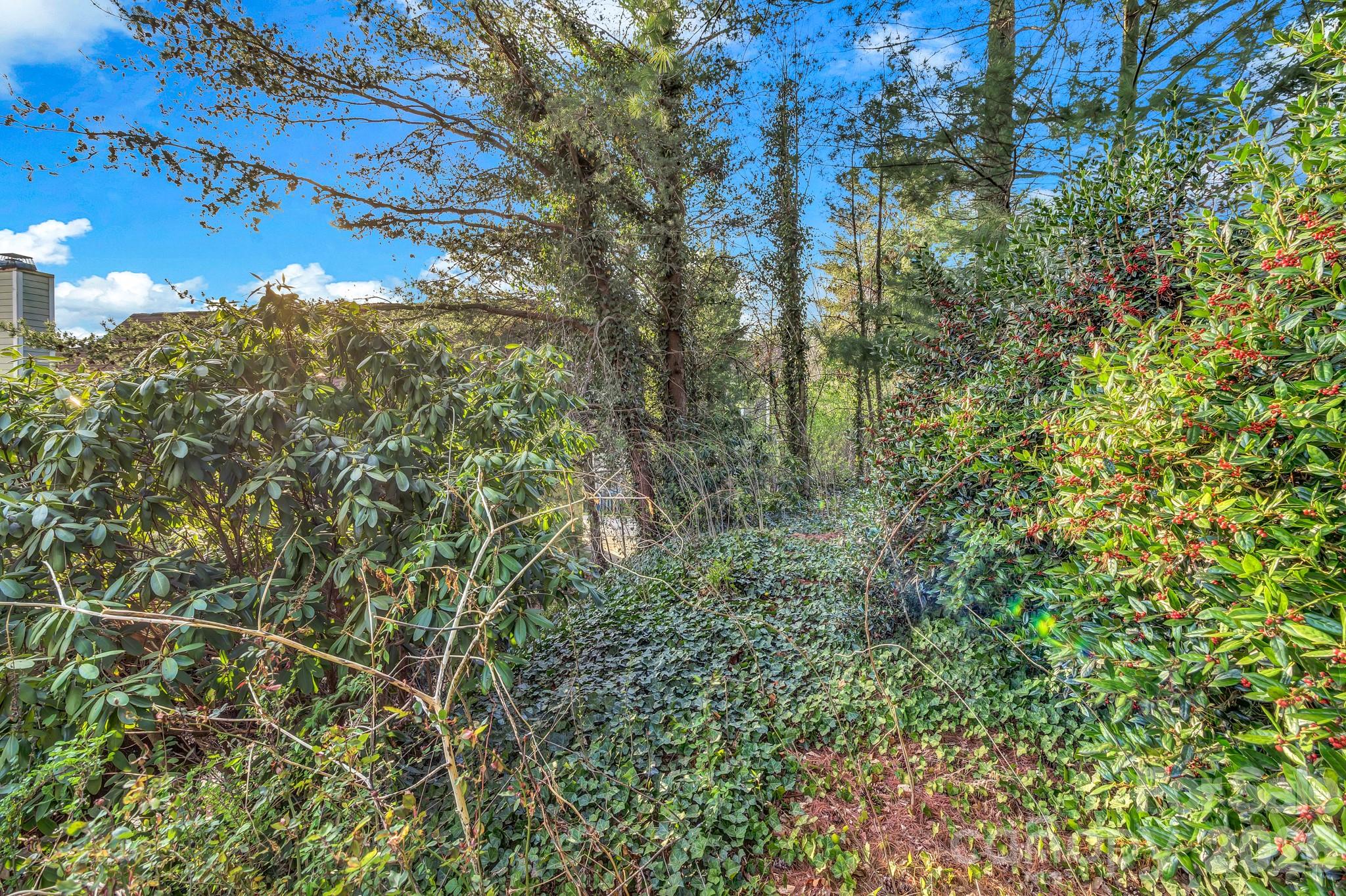 5 Veranda Trail Asheville NC 28803