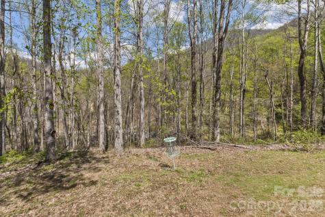 53 Benfield Road Weaverville NC 28787