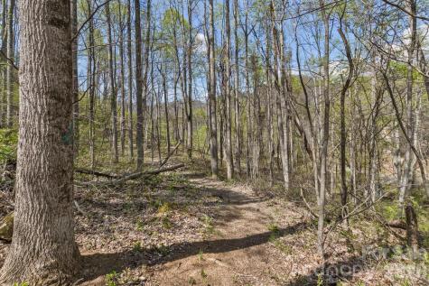53 Benfield Road Weaverville NC 28787