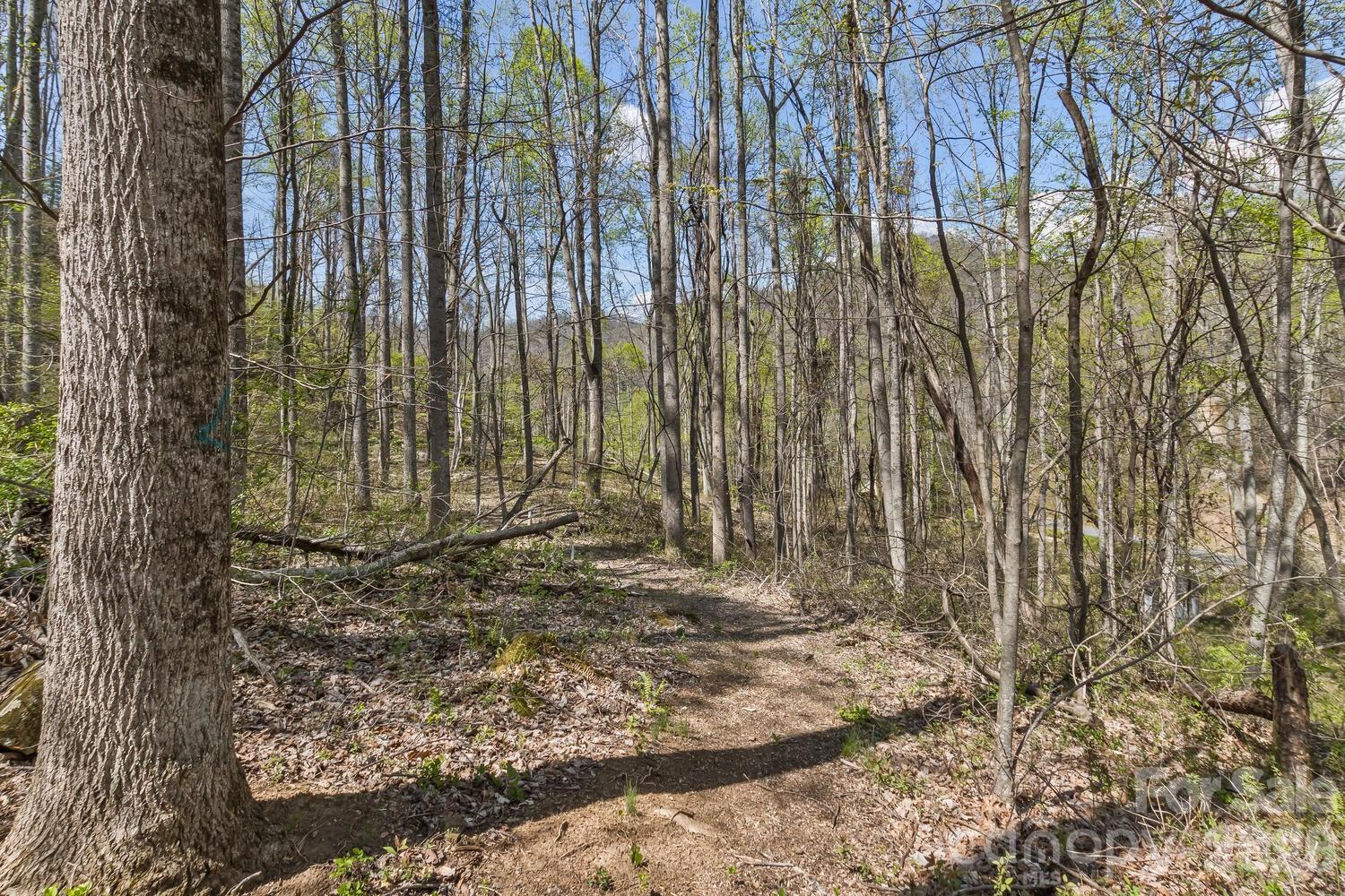 53 Benfield Road Weaverville NC 28787