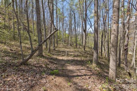 53 Benfield Road Weaverville NC 28787