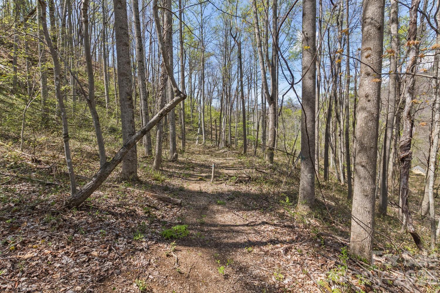 53 Benfield Road Weaverville NC 28787