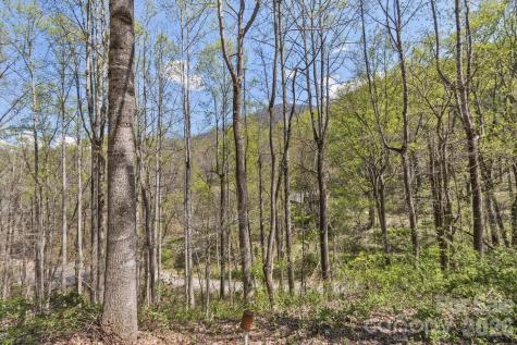 53 Benfield Road Weaverville NC 28787